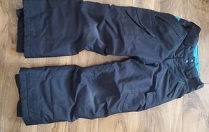 Patagonia Snow Pants